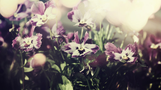 751244 (a): :2560x1440
